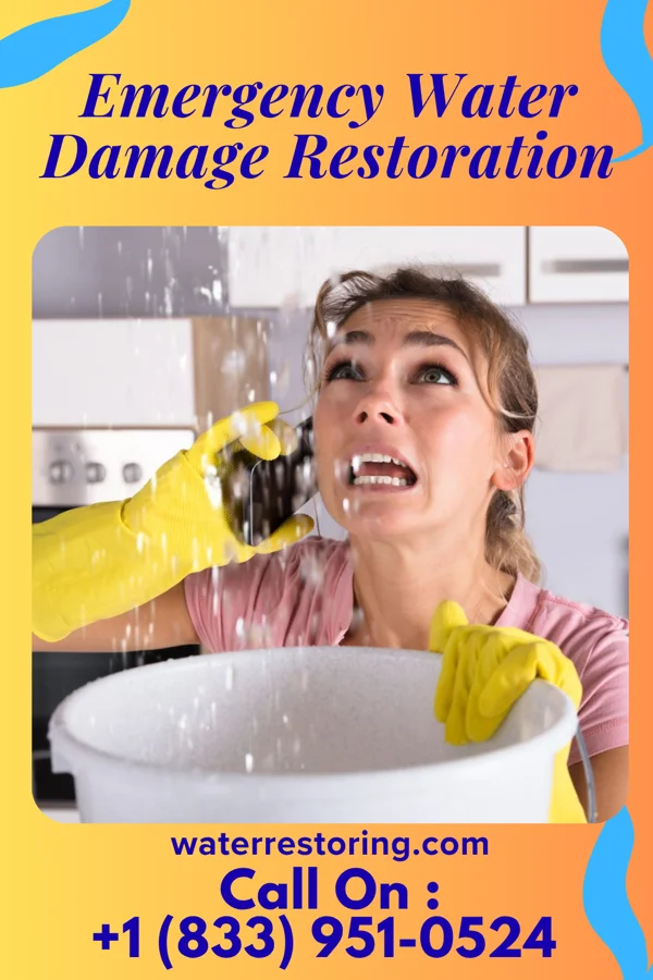 Emergency Water Damage Restoration in Eastman, WI
