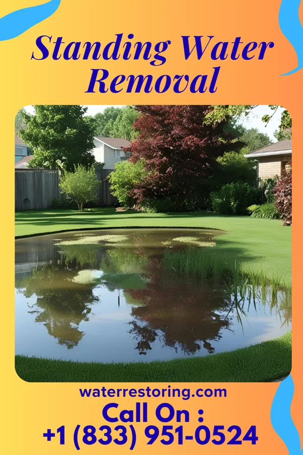 Standing Water Removal in Eastman, WI